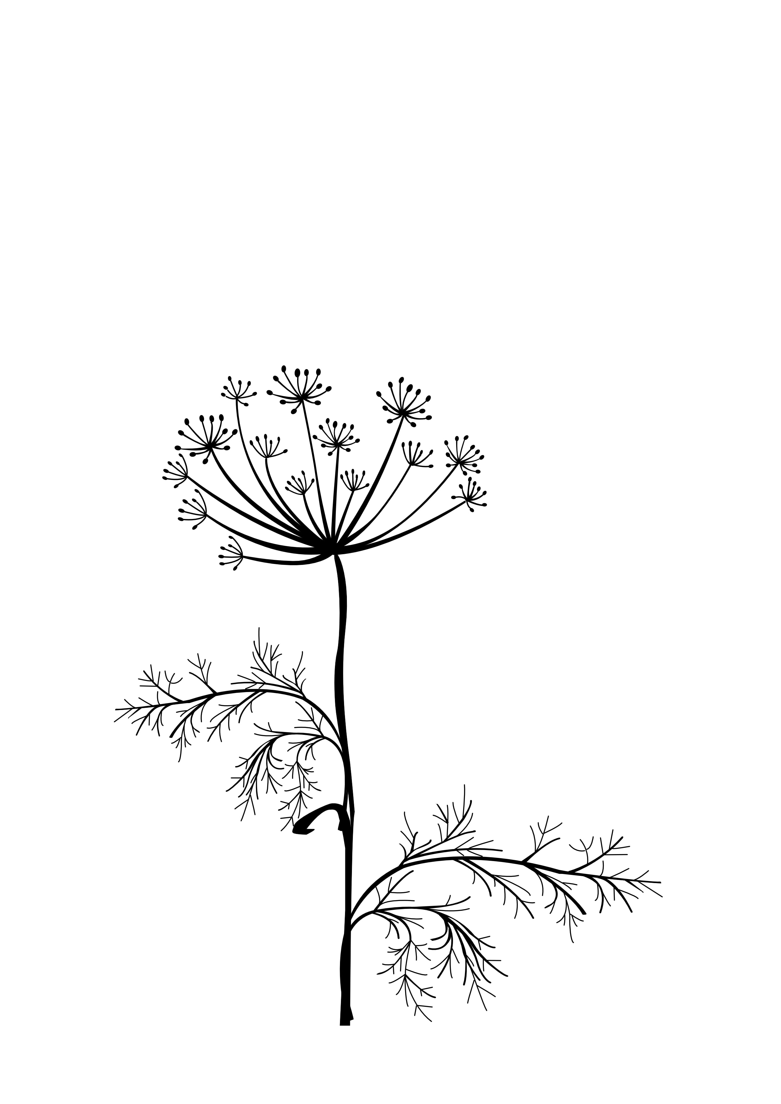 Dill Blume mit Blättern