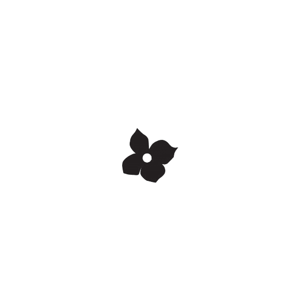 Hortensienblüte schwarz