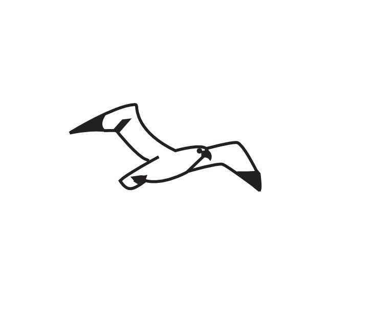 Möwe groß