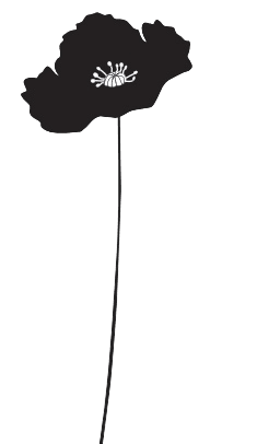 Mohnblume flächig