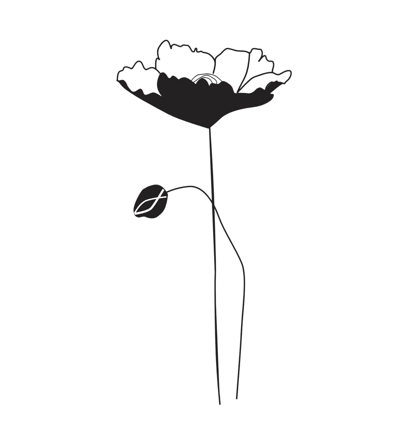 Mohnblume mit Knospe