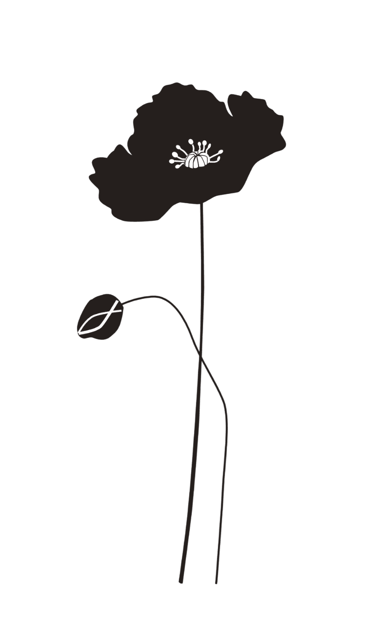 Gräserwiese Mohnblumen Set 2