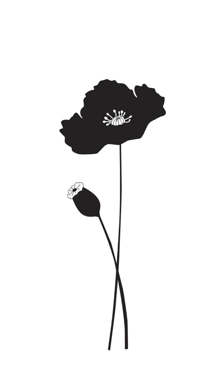 Gräserwiese Mohnblume Set 2