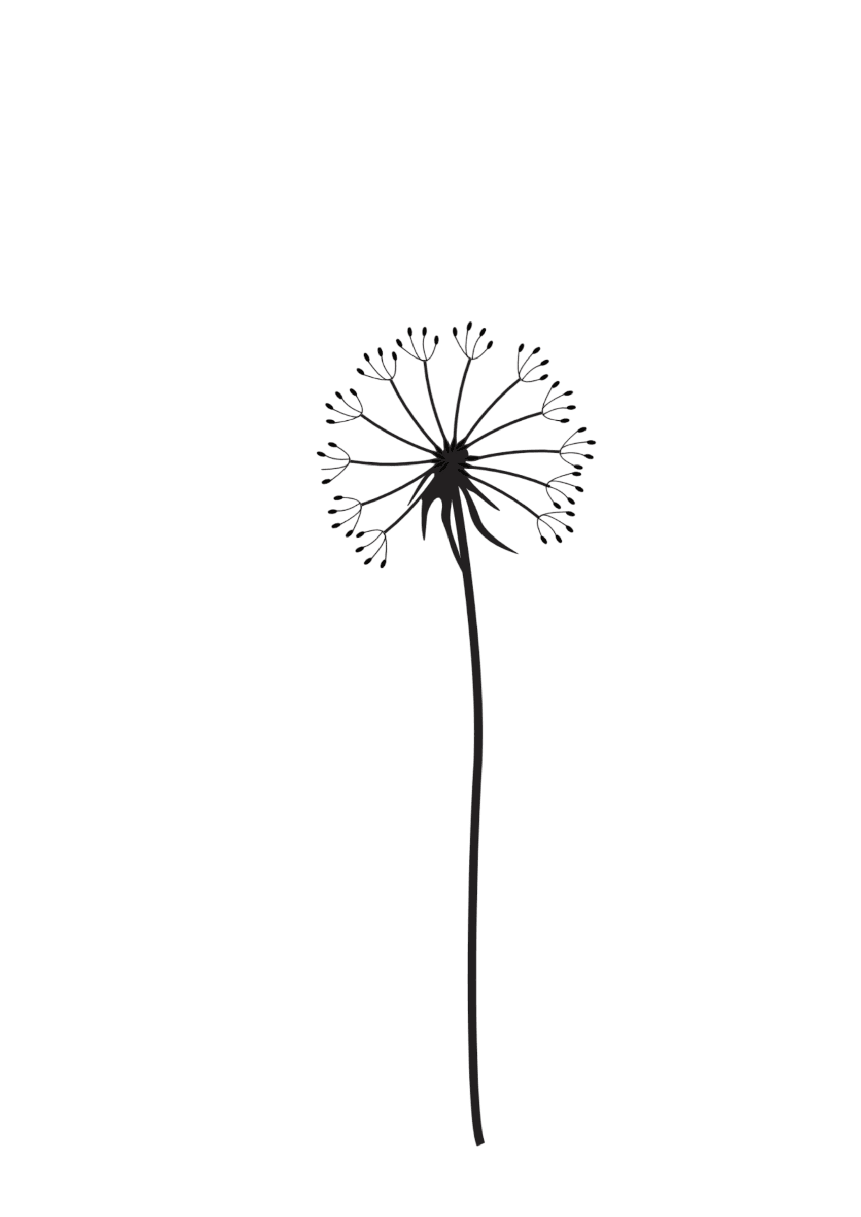 Gräserwiese Pusteblume mit Stiel