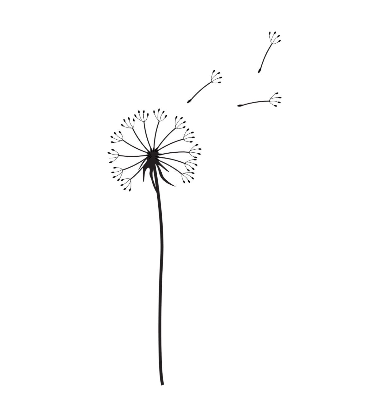Gräserwiese Pusteblume mit Stiel