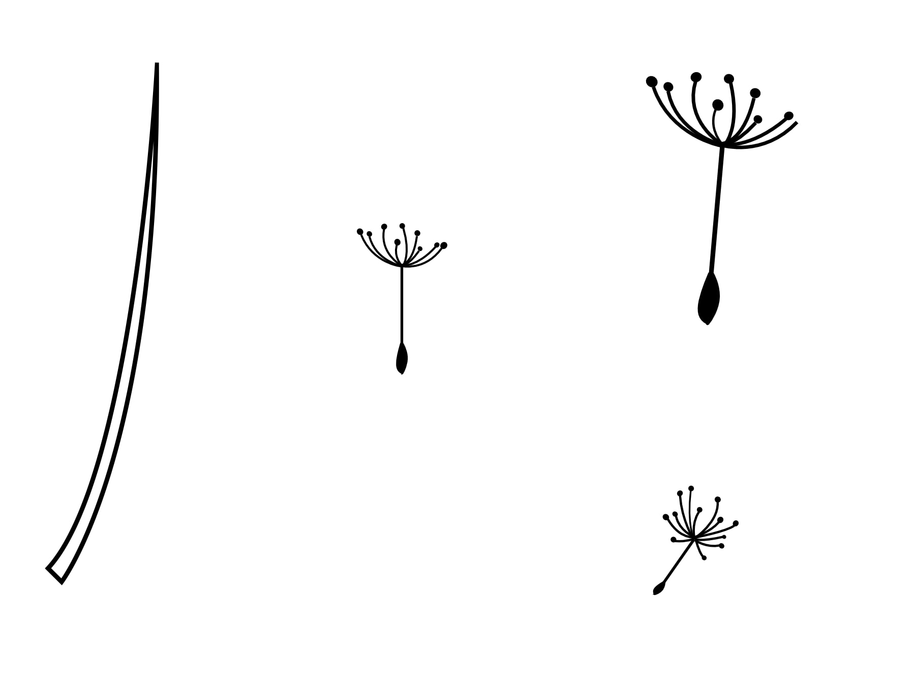 Pusteblumen zusammen