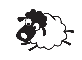 Schaf Merle